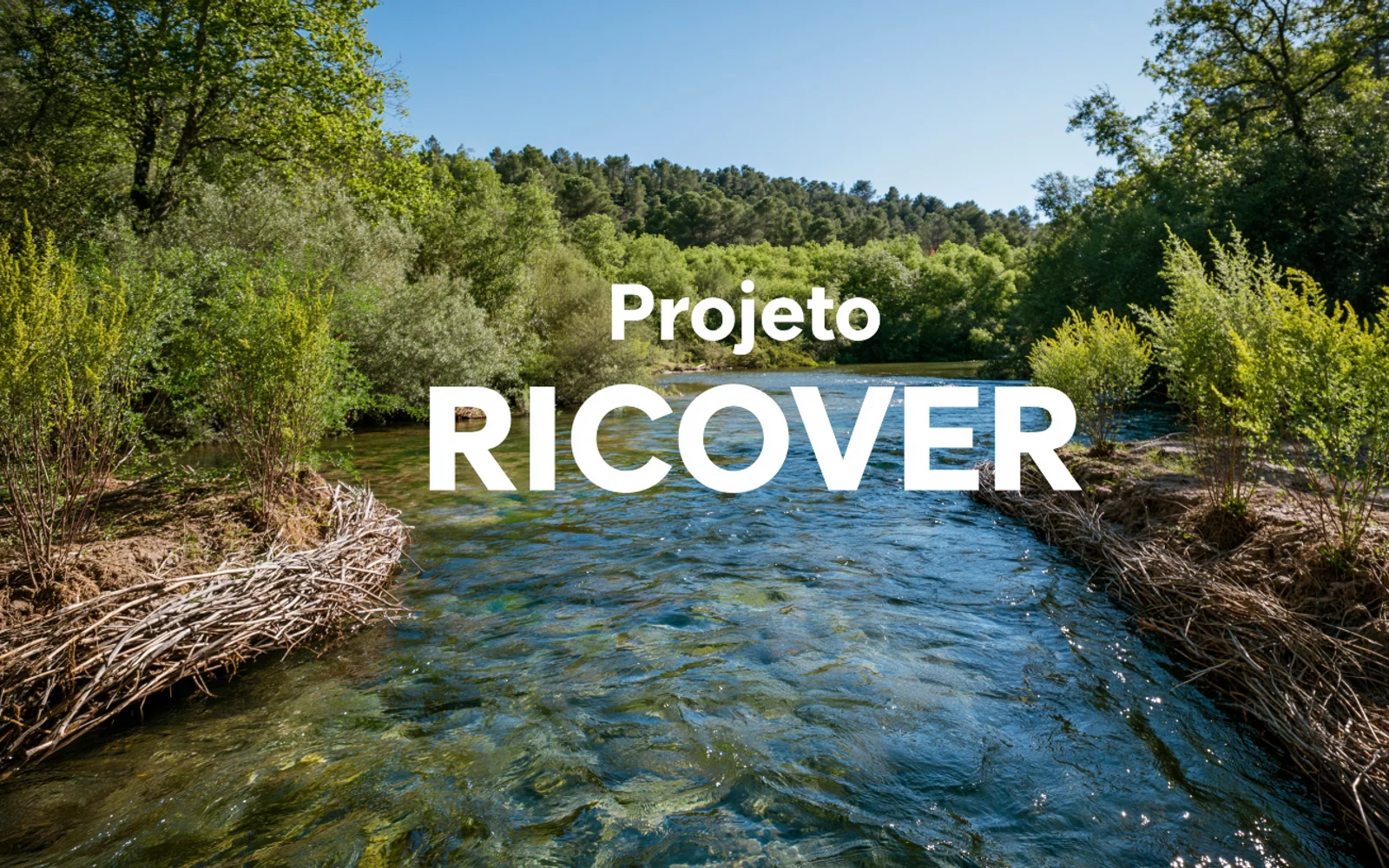 Ricover